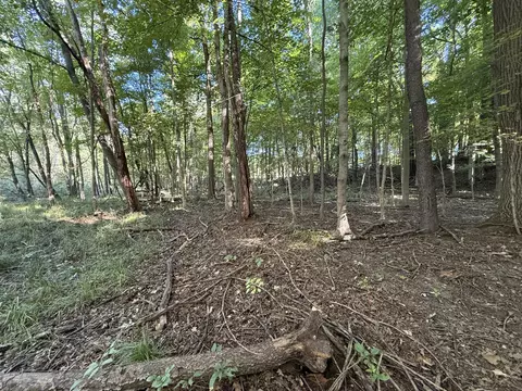 Exterior - 14666 Fedore Rd, Buchanan, MI 49107 photo 2 of 4