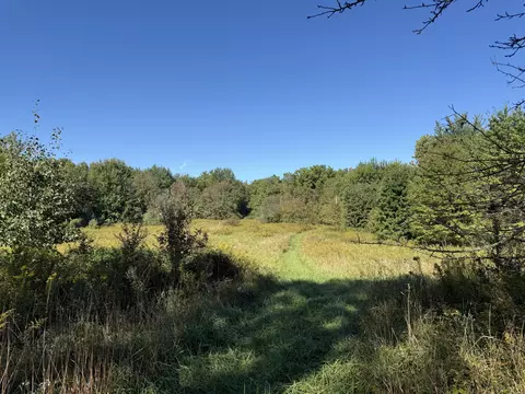 Exterior - 14666 Fedore Rd, Buchanan, MI 49107 photo 1 of 4