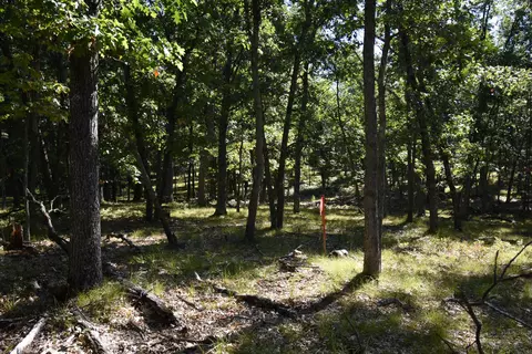 Other - Whitney Street, Baldwin, MI 49304 photo 14 of 15