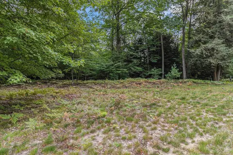 lot2 Pine St, Mears, MI 49436 photo 12