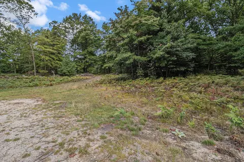 lot2 Pine St, Mears, MI 49436 photo 4