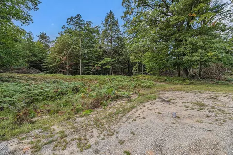 lot2 Pine St, Mears, MI 49436 photo 3