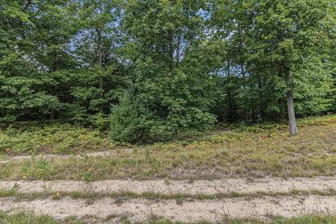 lot2 Pine St, Mears, MI 49436 photo 6