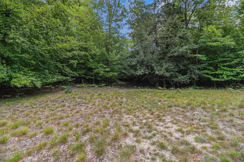 lot2 Pine St, Mears, MI 49436 photo 2