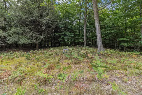 lot2 Pine St, Mears, MI 49436 photo 15
