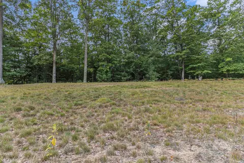 lot2 Pine St, Mears, MI 49436 photo 7