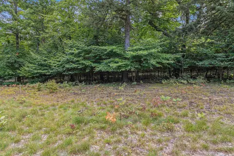 lot2 Pine St, Mears, MI 49436 photo 5