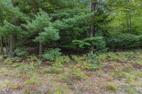 lot2 Pine St, Mears, MI 49436 photo 11