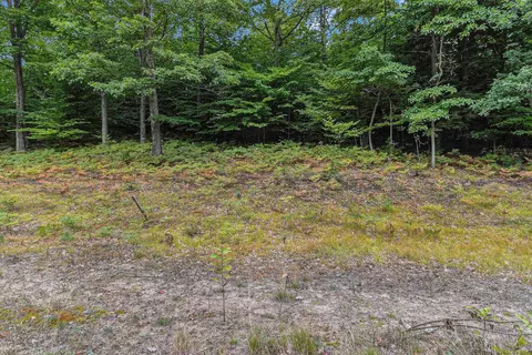 lot2 Pine St, Mears, MI 49436 photo 13
