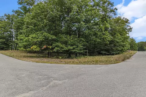lot2 Pine St, Mears, MI 49436 photo 26