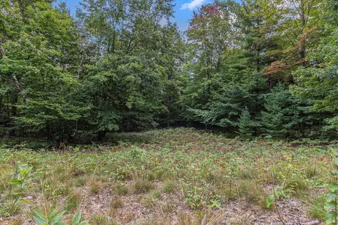 lot2 Pine St, Mears, MI 49436 photo 10