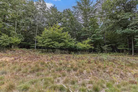 lot2 Pine St, Mears, MI 49436 photo 9
