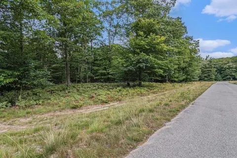 lot2 Pine St, Mears, MI 49436 photo 25