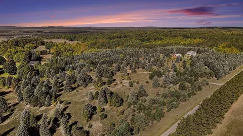View/Area - 17194 Litzen Rd, Copemish, MI 49625 photo 14 of 23
