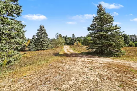 Exterior - 17194 Litzen Rd, Copemish, MI 49625 photo 3 of 3