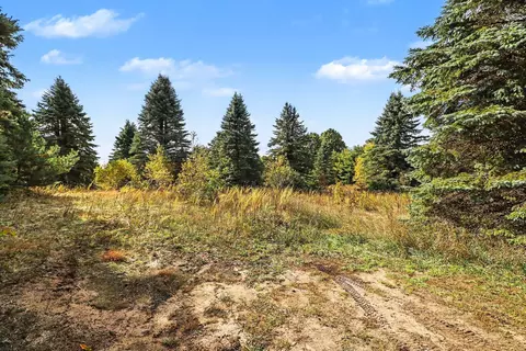 Exterior - 17194 Litzen Rd, Copemish, MI 49625 photo 1 of 3