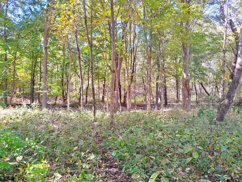 5 Acres Vacant Land 48th Ave, Lawrence, MI 49064 photo 3