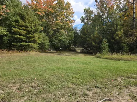 Vl Bruun Trail, Frederic, MI 49733 photo 5