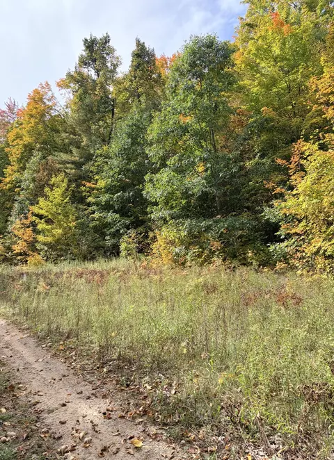 Vl Bruun Trail, Frederic, MI 49733 photo 2