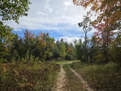 Vl Bruun Trail, Frederic, MI 49733 photo 7