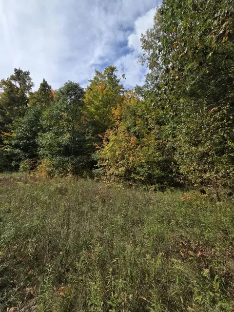 Vl Bruun Trail, Frederic, MI 49733 photo 6