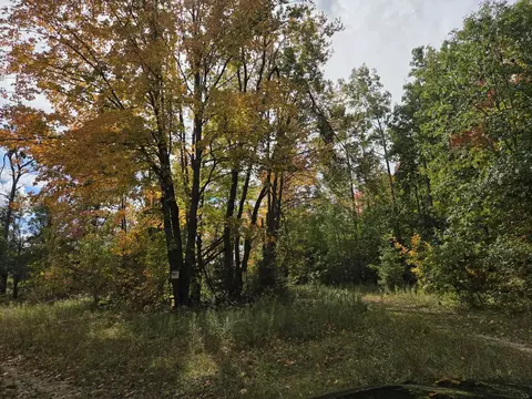 Vl Bruun Trail, Frederic, MI 49733 photo 3