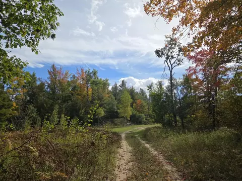 Vl Bruun Trail, Frederic, MI 49733 photo 4