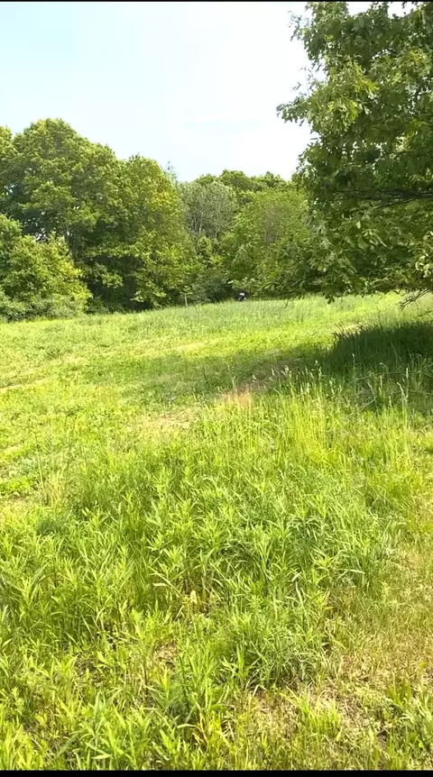 Mccain Road, Spring Arbor, MI 49283 photo 4