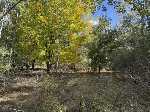 Exterior - 12334 20th Ave, Remus, MI 49340 photo 6 of 9