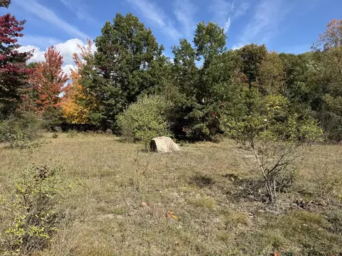 Other - 12334 20th Ave, Remus, MI 49340 photo 2 of 2