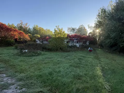 Exterior - 12334 20th Ave, Remus, MI 49340 photo 2 of 9
