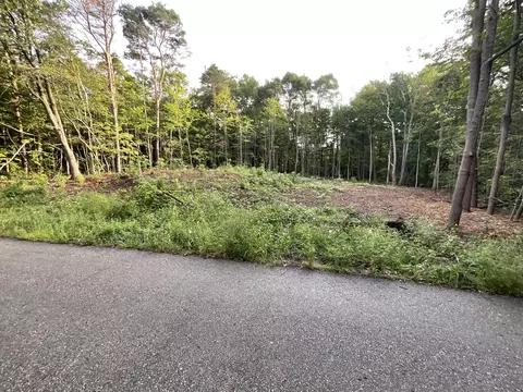 0 Crescent Dr, Fennville, MI 49408