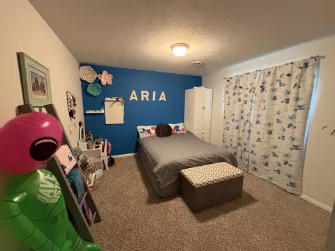Bedroom - 13330 S Marsh Way, Grant, MI 49327 photo 3 of 3