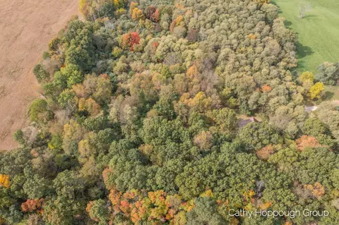 View/Area - 3982 E Bricker Rd, Fenwick, MI 48834 photo 4 of 6