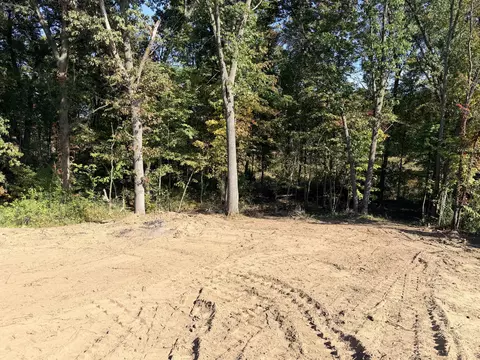 0 San Luray Dr, Gregory, MI 48137 photo 10