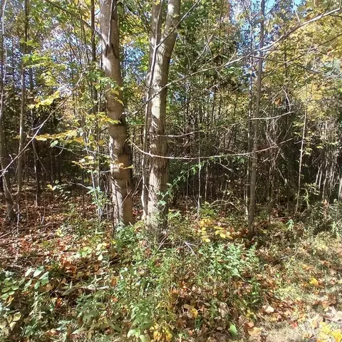 County Road 378, Covert, MI 49043 photo 2