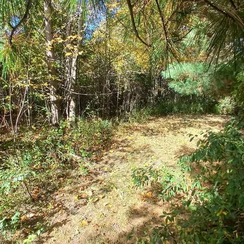 County Road 378, Covert, MI 49043 photo 3