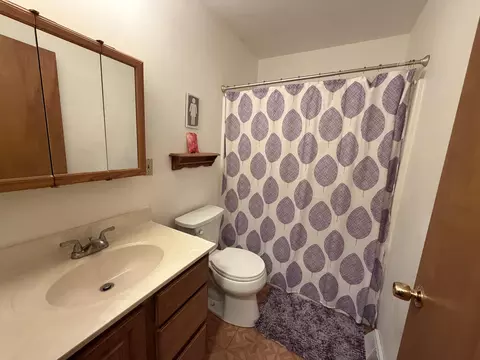 Bath - 1055 Miller Rd, Plainwell, MI 49080 photo 3 of 4