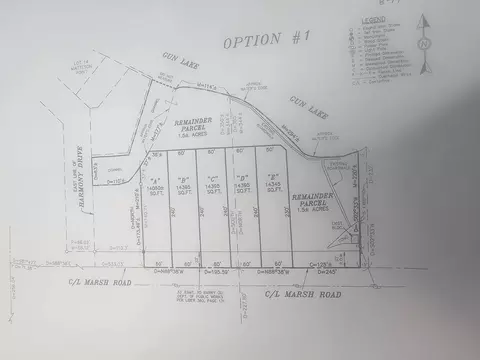 V/l S Marsh Rd, Shelbyville, MI 49344