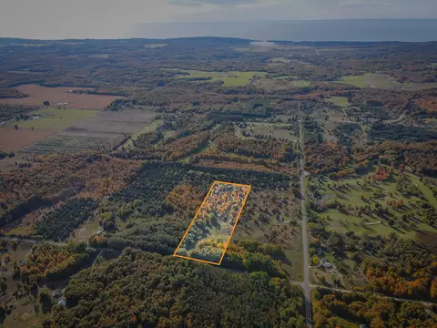 V/L Butwell Road #PARCEL B, Bear Lake, MI 49614