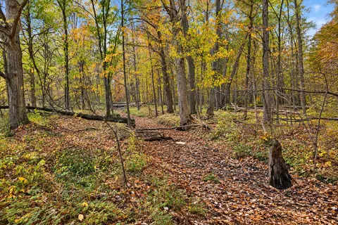 Other - 2867 Capac Rd, Allenton, MI 48002 photo 8 of 8