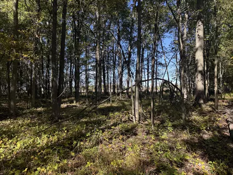 Other - 2867 Capac Rd, Allenton, MI 48002 photo 6 of 8
