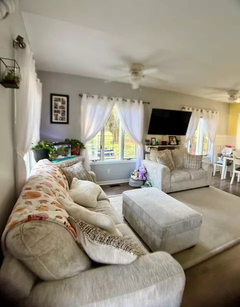 Living - 112 Walnut St, Brooklyn, MI 49230 photo 2 of 3