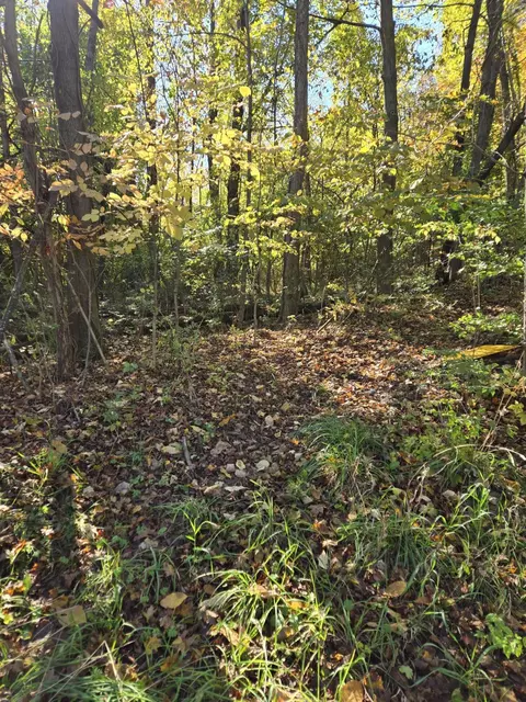 116 W Bacon St, Hillsdale, MI 49242