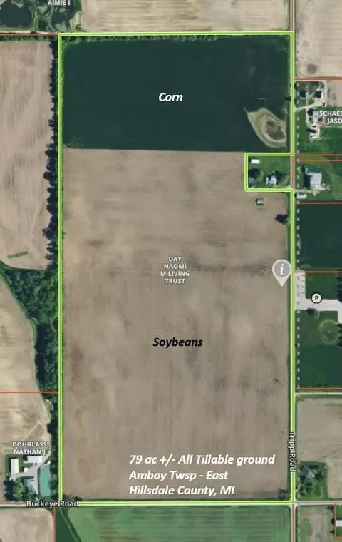 13650 Tripp Rd, Waldron, MI 49288