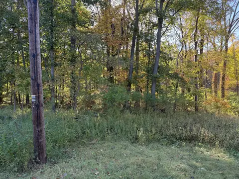 Parcel A Red Arrow Highway, Harbert, MI 49115 photo 4