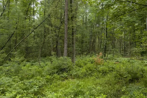 Other - 00 Whitefish Rd, Newaygo, MI 49337 photo 8 of 12