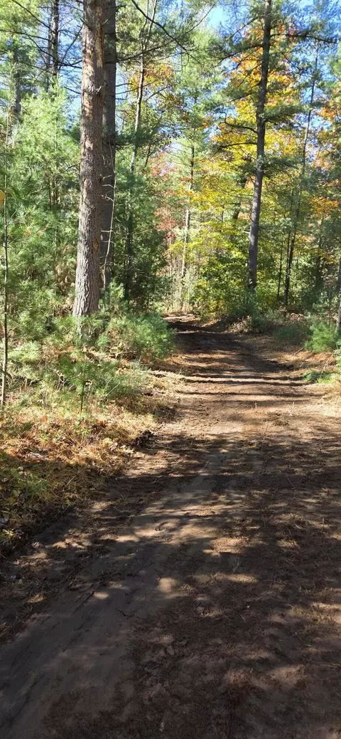 Other - 00 Whitefish Rd, Newaygo, MI 49337 photo 4 of 12
