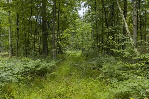 Other - 00 Whitefish Rd, Newaygo, MI 49337 photo 6 of 12