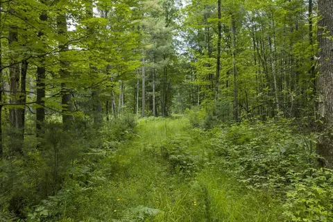Other - 00 Whitefish Rd, Newaygo, MI 49337 photo 9 of 12